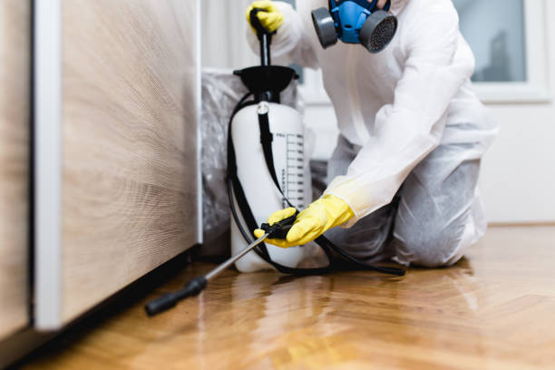 Best Local Pest Control Services  in Arcadia, WI