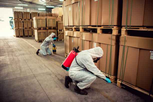 Best Pest Inspection Near Me  in Arcadia, WI