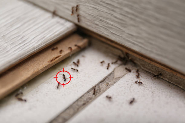 Best Wildlife Control Services  in Arcadia, WI