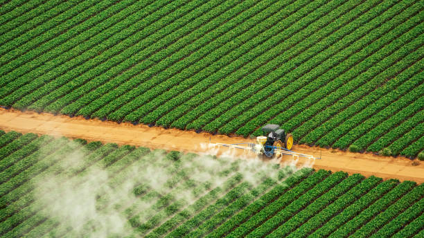 Pest Control Cost in Arcadia, WI